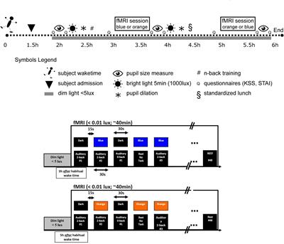 Plasticity in the Sensitivity to Light in Aging: Decreased Non-visual Impact of Light on Cognitive Brain Activity in Older Individuals but No Impact of Lens Replacement